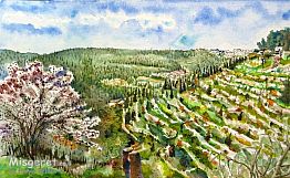 נוף הטרסות בעין כרם