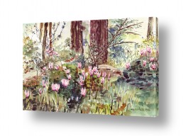 ציורי פרחים ועצים פרחים | רקפות