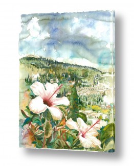 ציורי פרחים ועצים פרחים | היביסקוס לבן