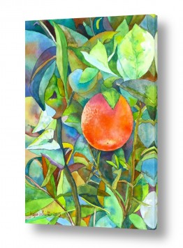 ציורי אוכל פירות | תפוז