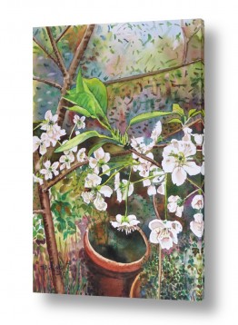 חיה וייט חיה וייט - ציירת ירושלמית - פרח | פריחת הדובדבן