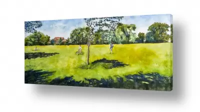 צומח עצים | עצים וצללים