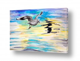 ציורים ציורים מים וים | ציפור וצל