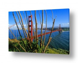 נופים מהעולם סן פרנסיסקו | גשר הזהב 2