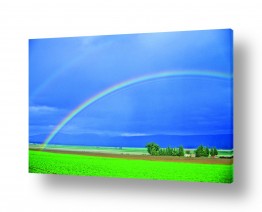תמונות לפי נושאים דשא | קשת בענן 2