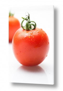 תמונות לפי נושאים אגבניות | אדום אדום