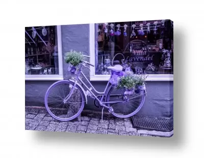 טבע דומם חלונות | bicycle