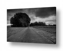 צילום אמנותי שחור לבן | כפר