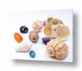 אילן עמיחי אילן עמיחי - צילום אמנות, פירסום ותעשיה - אבן | stone and shell