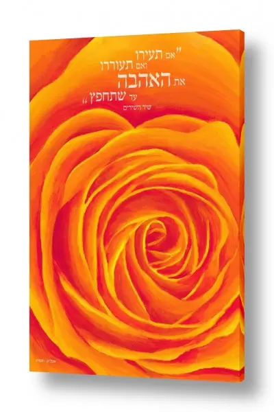 חדרים תמונות מעוצבות לחדר שינה | ורד של אהבה