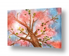 ציורים ענבל אשואל | עץ בפריחה אדומה