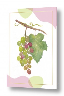 אלכוהול יין | ענבים 