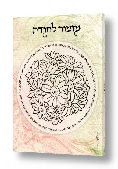 תמונות למשרד תמונות אווירה למשרדים | מזמור לתודה