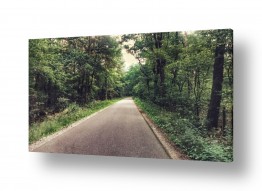 כבישים תמונות במבצע | ירוק אורגני