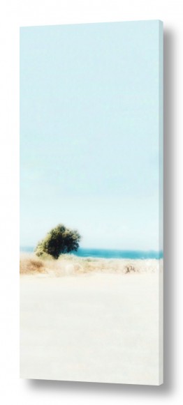 צבעים פופולארים צבע לבן | עדלאידע