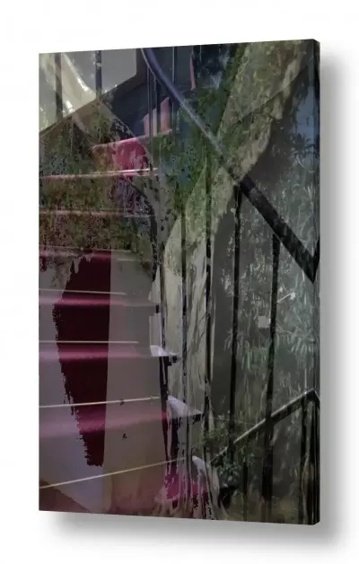 נושאים תמונות מהעולם | עץ רחב ענפים ומדרגות 