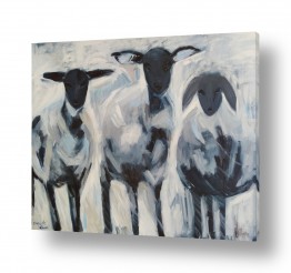 ציורים אירינה סופיצייב | כבשים בשחור ולבן