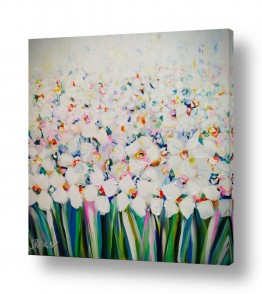 פרחים נרקיסים | מרבד הלבנים