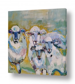 ציורים ציורים של בעלי חיים | כבשים בחופשה