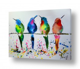 חיות ציפורים | צופיות צבעוניות על חוט חש