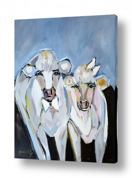 יונקים פרה פרות | חתונה לבנה