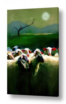 יונקים כבשה | ללא רועה