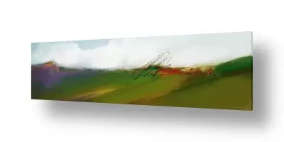מסגרת ראשי חיוניות | בשדה ירוק
