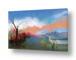 פרחים לפי צבעים פרחים כחולים | מעברים נסתרים