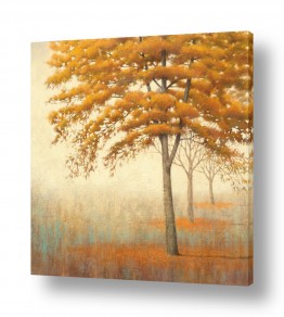 צבעים פופולארים צבע זהב | עצים בסתיו