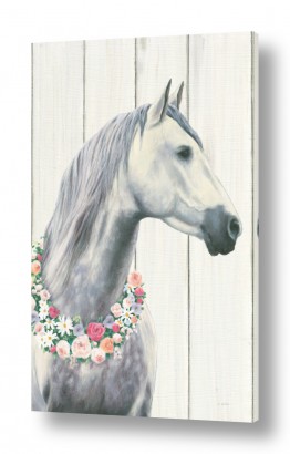 שילובים של צבע אפור אפור ולבן | סוס מלכותי