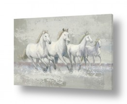 מדבקות קיר מדבקות קיר סוסים | סוסי פרא