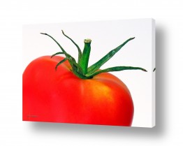 צילומים צילום אוכל | עגבניה גדולה