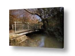 תמונות לפי נושאים דרך | גשר 2