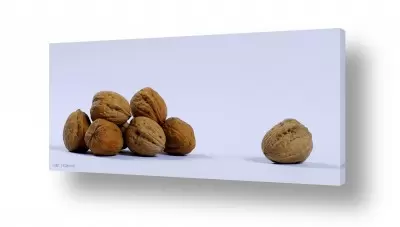 תמונות לחדרי ילדים תמונות לחדר בנות | אגוזים 2