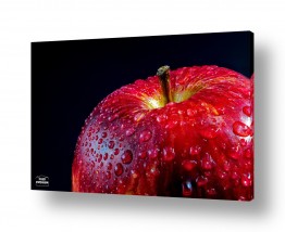 צילומים צילום ארוטי | תפוח אדום