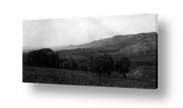 עמק הירדן והבקעה מטולה והסביבה | מטולה 1944 - פנורמה