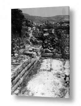 ישראל ארץ ישראל הישנה | סבסטיה 1943 - חומת הארמון