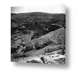צילומים דוד לסלו סקלי | בדרך למר סבא - 1943