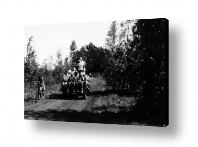 בתי מלון בית מלון לופט אורבני | שדה נחום 1947, עגלה ונוער