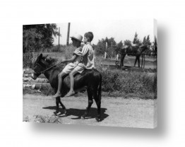 עמק יזרעאל עין חרוד | עין חרוד 1947 ילדים וחמור