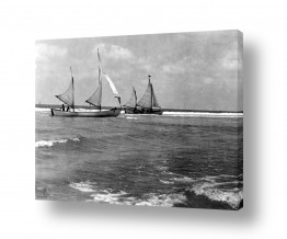 תמונות לפי נושאים דוד | תל אביב 1939 סירות מפרש