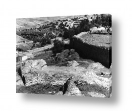 צילומים דוד לסלו סקלי | ירושלים 1938 הר הצופים