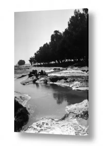 מים נחלים | נבי רובין 1940 שטפון
