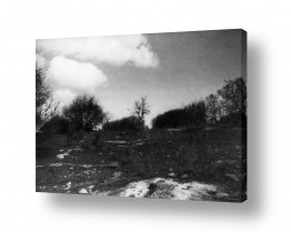 צילומים תמונות שחור לבן | עמק יזרעאל 1940 נוף