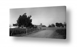 צילומים דוד לסלו סקלי | בית ג'ירג'ה 1940 ליד הבאר