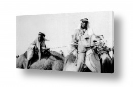 צילומים ארץ ישראל הישנה | בית ג'ירג'ה 1940 גמלים