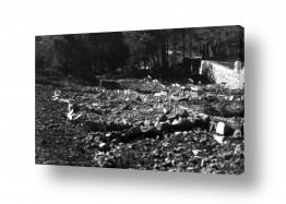 מיים ים | קרית ענבים 1948 בית קברות