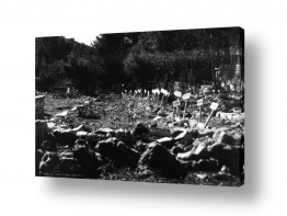 צבעים פופולארים צבע שחור | קרית ענבים 1948 בית עלמין
