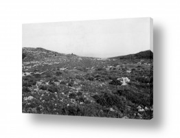 צילומים דוד לסלו סקלי | מינחת מעלה החמישה  1948