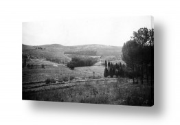 צילומים דוד לסלו סקלי | מינחת מעלה החמישה 1948